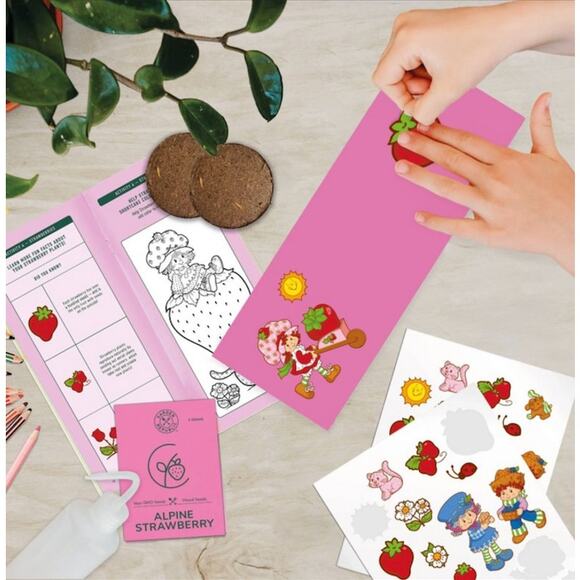 Strawberry Shortcake Decorate and Grow Kit - Picture 3 of 5